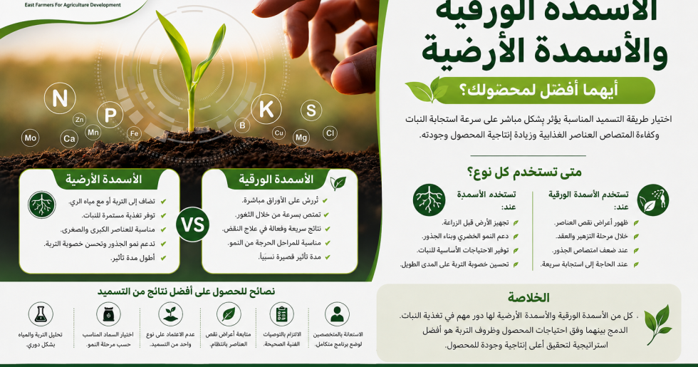 الفرق بين الأسمدة الورقية والأسمدة الأرضية وأيهما أفضل للمحاصيل الزراعية