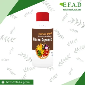امينو ديناميك - Amino Dynamic