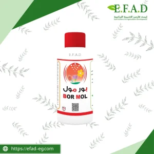 بورمول - Bor Mol