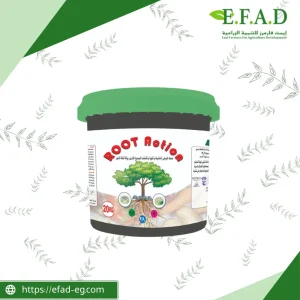 روت اكشن - ROOT ACTION