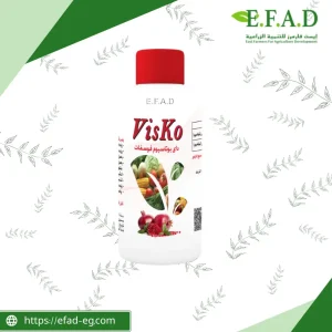 فيسكو - VisKo