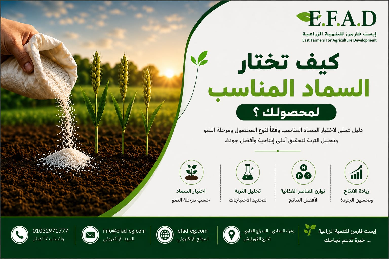تغذية النبات من الزراعة حتى الحصاد وأهم العناصر الغذائية في كل مرحلة نمو