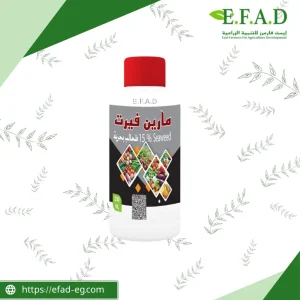 مارين فيرت