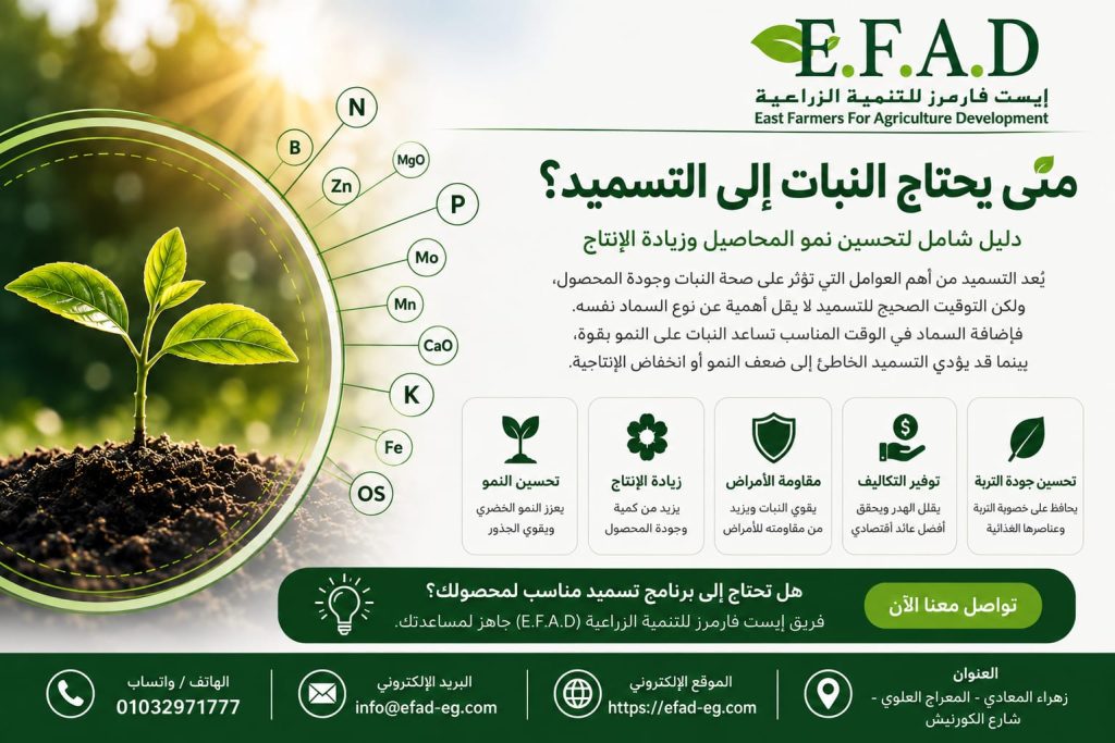 متى يحتاج النبات إلى التسميد؟ أفضل مواعيد التسميد حسب مراحل النمو