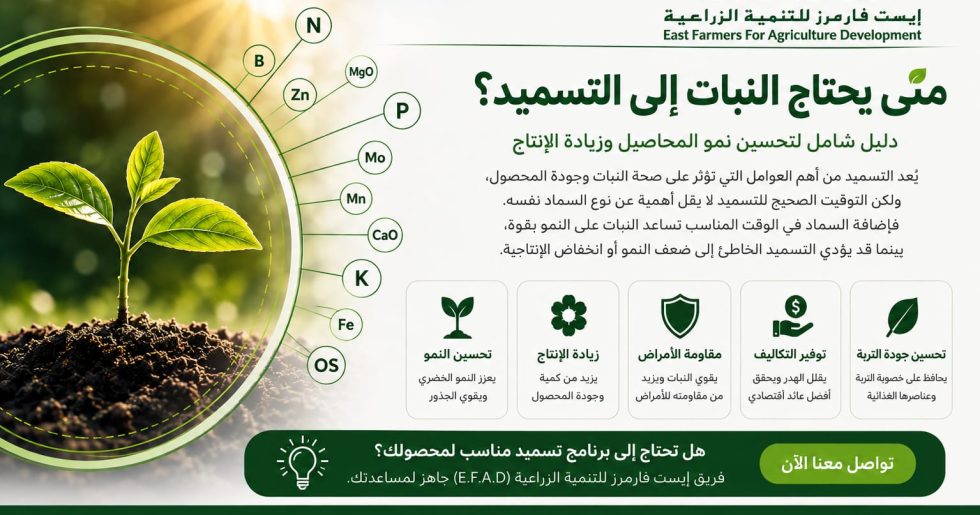 متى يحتاج النبات إلى التسميد؟ أفضل مواعيد التسميد حسب مراحل النمو