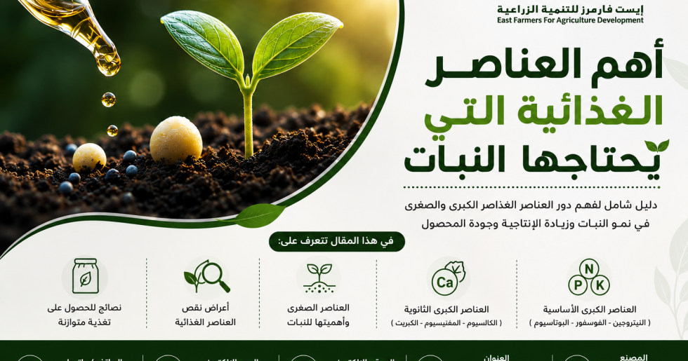 العناصر الغذائية التي يحتاجها النبات