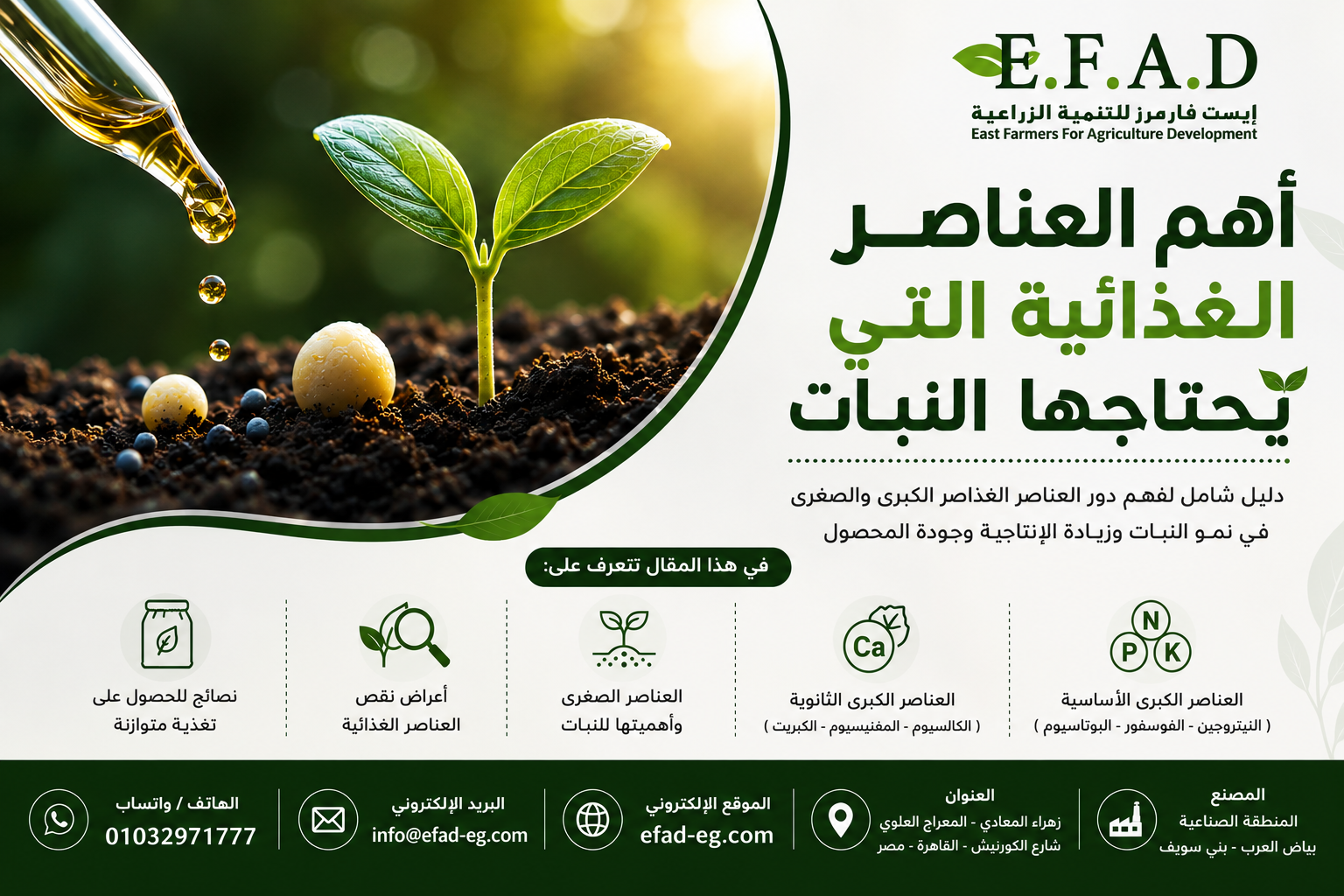 العناصر الغذائية التي يحتاجها النبات