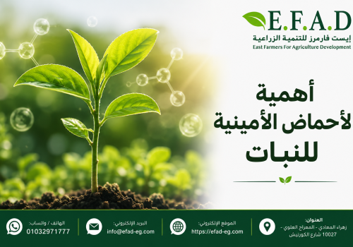 أهمية الاحماض الأمينية للنبات EFAD أهمية الأحماض الأمينية للنبات