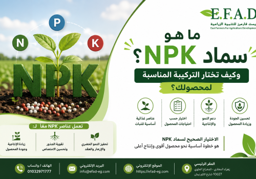 سماد-NPK سماد NPK وأهمية النيتروجين والفوسفور والبوتاسيوم وكيفية اختيار التركيبة المناسبة للمحصول