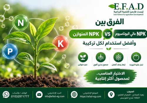 NPK عالي البوتاسيوم وNPK المتوازن والفرق بين NPK عالي البوتاسيوم وNPK المتوازن والفرق بين
